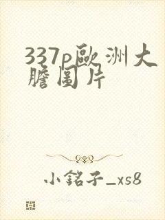 337p欧洲大胆图片