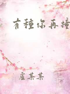 有种你再撞一下