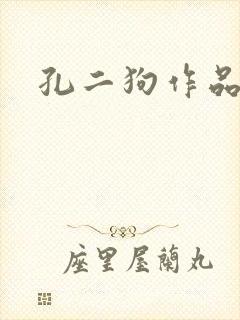 孔二狗作品