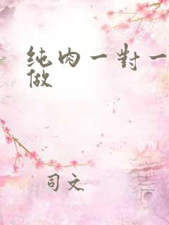 纯肉一对一到处做