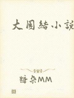 大团结小说阅读