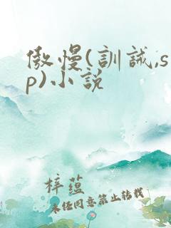 傲慢(训诫,sp)小说