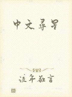 中文寻星