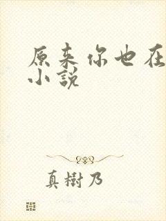 原来你也在这里小说