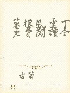 草根风云丁长生免费阅读全本