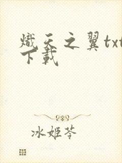 炽天之翼txt下载
