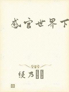 感官世界下载