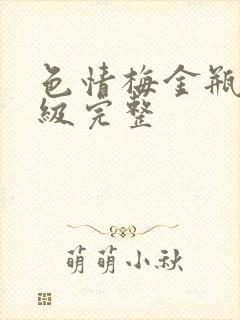 色情梅金瓶2三级完整