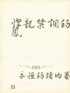 悍龙禁锢的小野凤