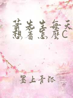 萧先生每天都在想着怎么C