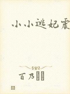 小小逃妃震江山