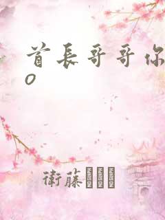 首长哥哥你好po