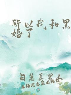 所以我和黑粉结婚了