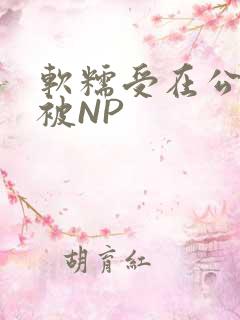软糯受在公交车被NP