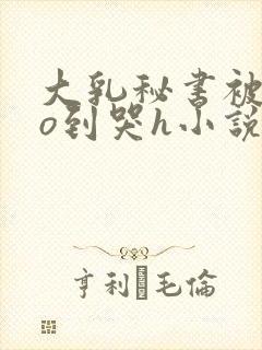 大乳秘书被cao到哭h小说