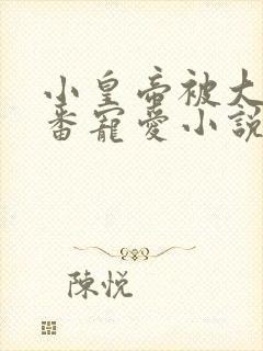 小皇帝被大臣轮番宠爱小说