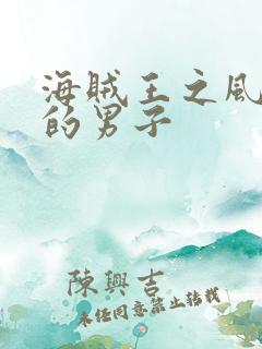 海贼王之风一样的男子