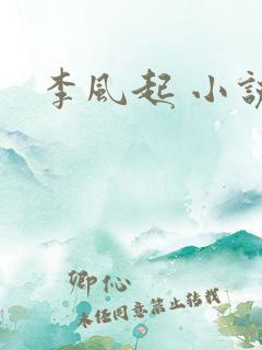 李风起 小说