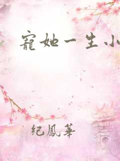 宠她一生小说