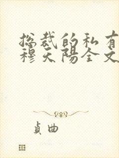 总裁的私有宝贝穆天阳全文阅读