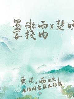 墨微雨x楚晚宁客栈肉