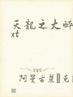 天龙之大醉侠txt