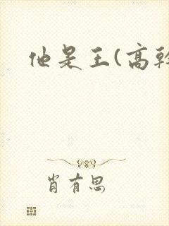 他是王(高干)