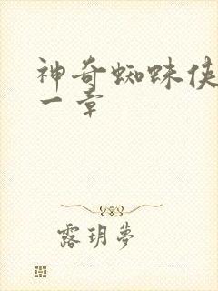 神奇蜘蛛侠第十一章