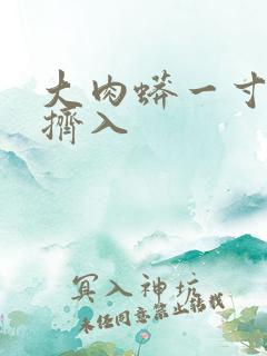 大肉蟒一寸一寸挤入