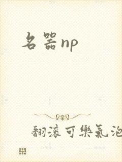 名器np