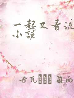 一起又看流星雨小说