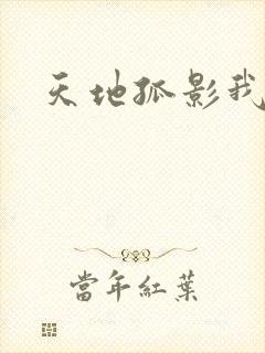 天地孤影我独行