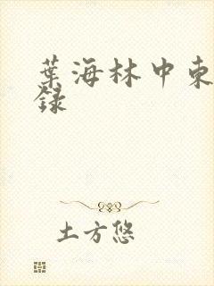 叶海林中东风云录
