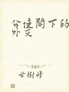 公使阁下的秘密外交