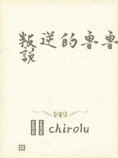 叛逆的鲁鲁修小说