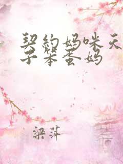 契约妈咪天才儿子笨蛋妈