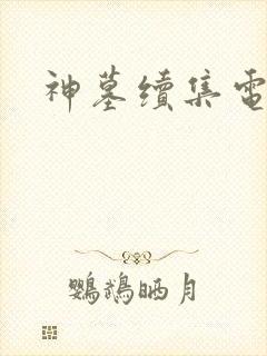 神墓续集电子书