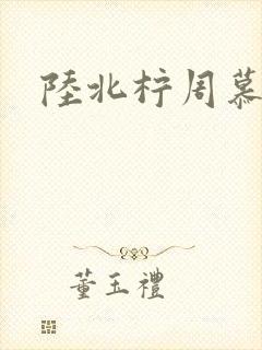 陆北柠周慕深