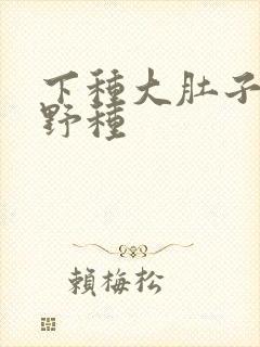 下种大肚子怀孕野种