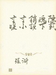 寸寸销魂陈聪王暖小说下载