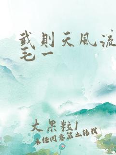 武则天风流艳情毛一