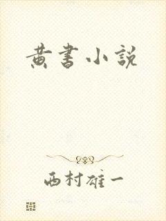 黄书小说