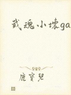 武魂小坏ga