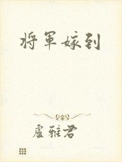 将军嫁到