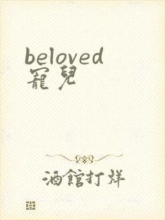 beloved宠儿