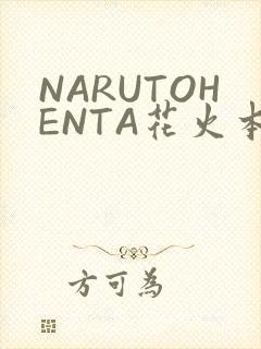 NARUTOHENTA花火本子