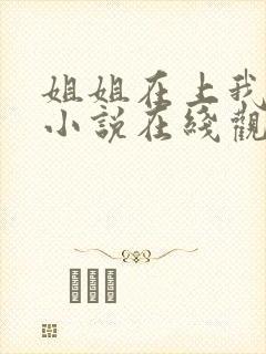 姐姐在上我在下小说在线观看