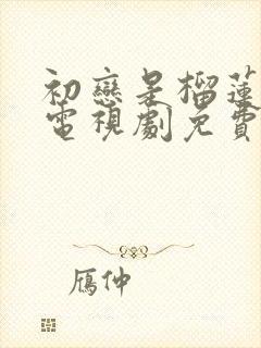 初恋是榴莲先生电视剧免费观看