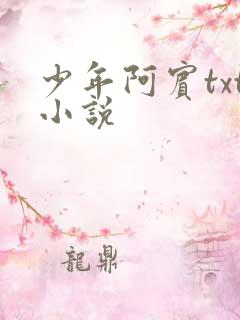少年阿宾txt小说