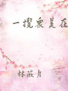 一揽众美在三国